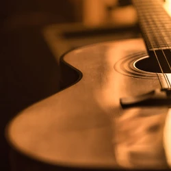 AdobeStock_238203139